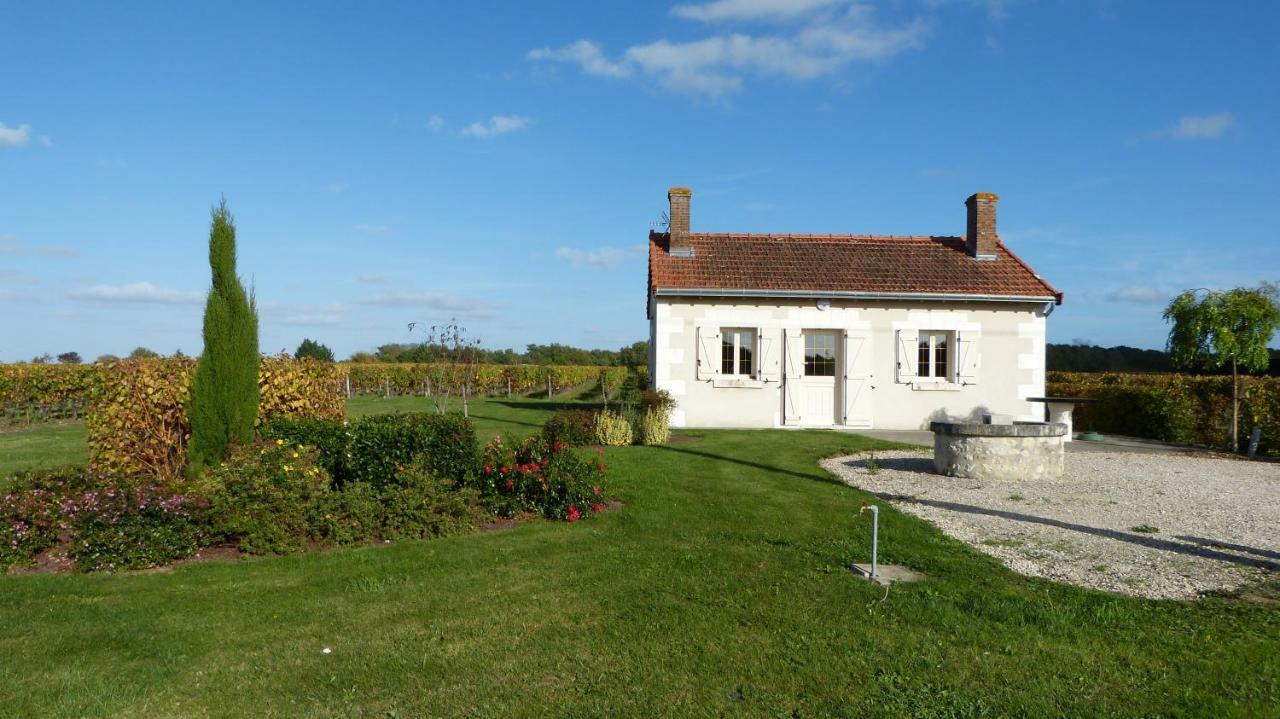 L'Ecrin Au Coeur Des Vignes Villa Saint-Georges-sur-Cher Exterior photo
